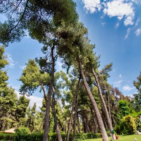 Sani Lili 4 * Sani (Chalkidiki)