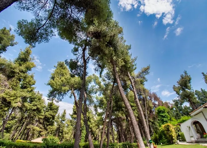 Sani Lili 4 * Sani (Chalkidiki)